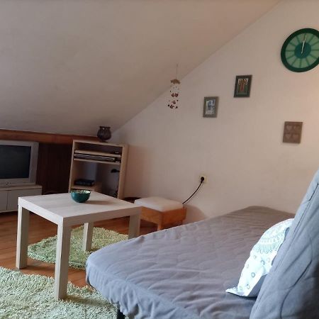 Apartman Lara Belgrade Luaran gambar
